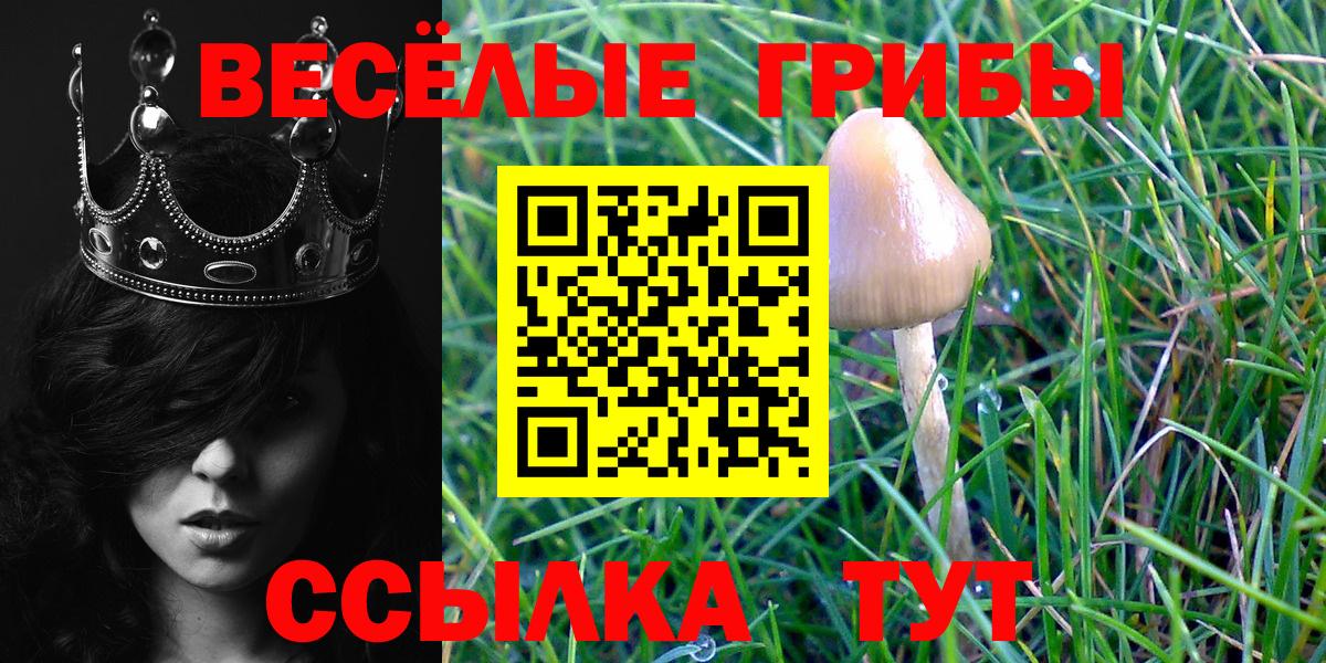 Псилоцибиновые грибы мицелий  где найти   Назарово  Вход с VPN 