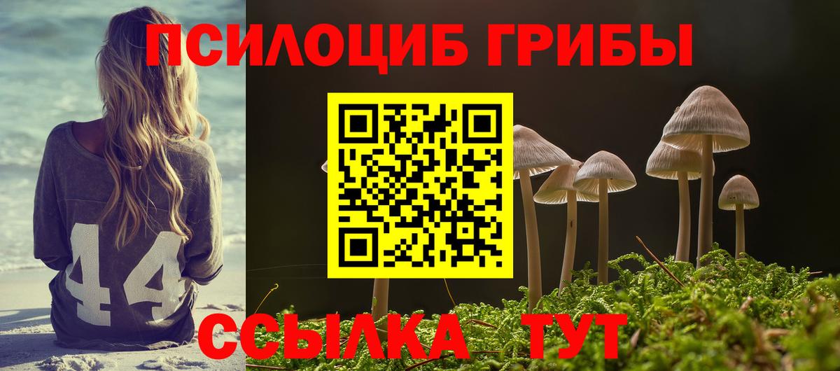 Псилоцибиновые грибы GOLDEN TEACHER Назарово